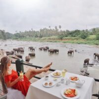 43099931_2272847526089675_4576794262460432384_o