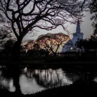 43185853_2274820512559043_1985044312668241920_n